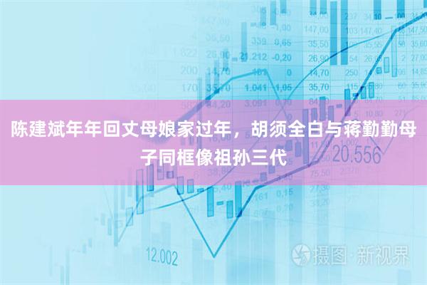 陈建斌年年回丈母娘家过年,胡须全白与蒋勤勤母子同框像祖孙三代