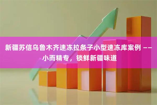 新疆苏信乌鲁木齐速冻拉条子小型速冻库案例 —— 小而精专，锁鲜新疆味道
