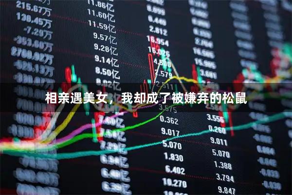 相亲遇美女，我却成了被嫌弃的松鼠