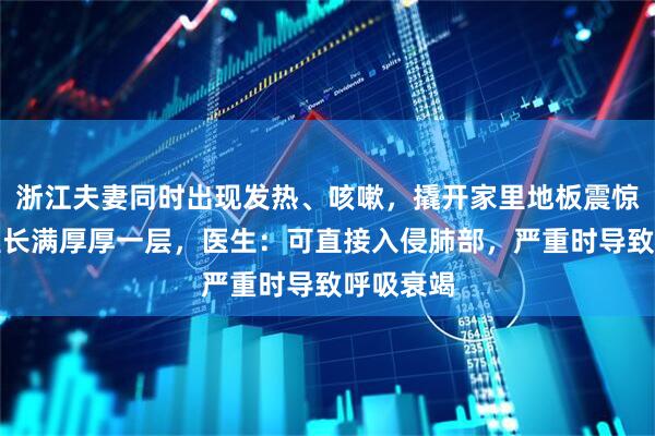 浙江夫妻同时出现发热、咳嗽，撬开家里地板震惊：夹层里长满厚厚一层，医生：可直接入侵肺部，严重时导致呼吸衰竭