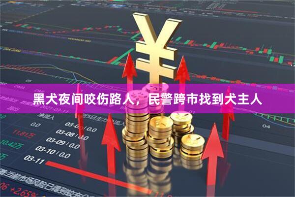 黑犬夜间咬伤路人，民警跨市找到犬主人